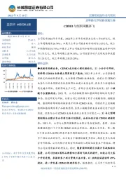 CDMO与制剂两翼齐飞