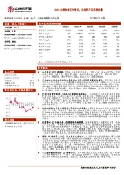 22Q2业绩恢复正向增长，光刻胶产品持续放量