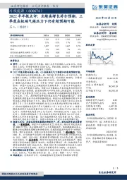 2022半年报点评：业绩高增长符合预期，三季度在极端气候压力下仍有超预期可能