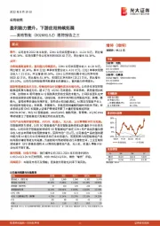 跟踪报告之三:盈利能力提升,下游应用持续拓展