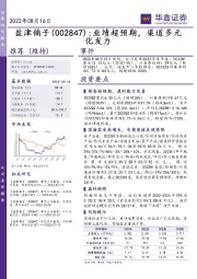 业绩超预期,渠道多元化发力