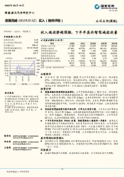 收入端逆势超预期，下半年高价智驾域控放量