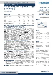 2022年中报业绩点评：业绩短期承压，静待下半年经营修复