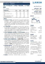 2022年中报点评:头部客户增速领跑,扩产持续推进