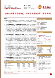 22H1业绩符合预期，可视化类夯实第二增长曲线