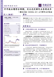 公司事件点评报告：半年报业绩符合预期，关注光伏锂电业务高成长