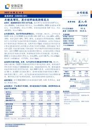业绩高增长,显示材料板块持续发力