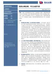 短期业绩放缓，环比加速可期
