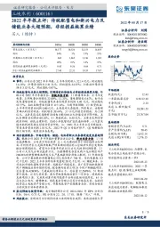 2022半年报点评：传统配售电和新兴电力及储能业务大超预期，非经损益拖累业绩