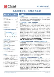 克服疫情影响,业绩成长稳健