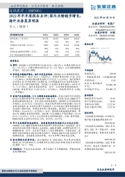 2022年半年度报告点评:国内业绩稳步增长,海外业务复苏明显