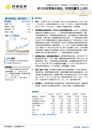 多元化经营稳步推进,经营质量再上台阶