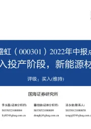 2022年中报点评:盛虹炼化进入投产阶段,新能源材料持续布局