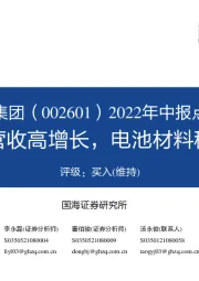 2022年中报点评：上半年营收高增长，电池材料稳步推进