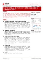 极米科技中报点评报告：持续巩固技术壁垒，看好长期空间下消费复苏后的业绩弹性