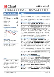 业绩短期受疫情扰动大，期待下半年恢复增长