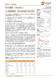 EVA贡献超额利润，大炼化及新材料打开成长空间