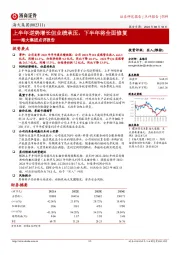 海大集团点评报告:上半年逆势增长但业绩承压,下半年将全面修复