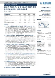 2022半年报点评:公司Q2业绩因国内疫情和汇率波动承压,期待新品放量