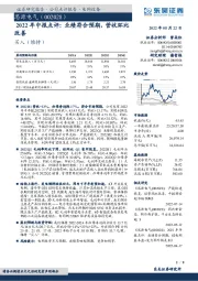 2022年中报点评：业绩符合预期，营收环比改善