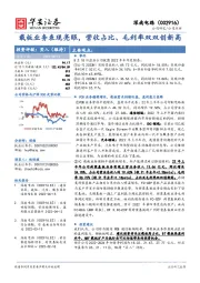 载板业务表现亮眼，营收占比、毛利率双双创新高