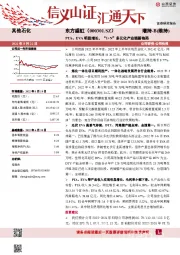 PTA、EVA明显增长，“1+N”多元化产业链新格局