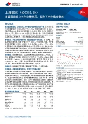 多重因素致上半年业绩承压，期待下半年稳步复苏