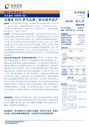 业绩受EVA景气支撑,炼化逐步投产