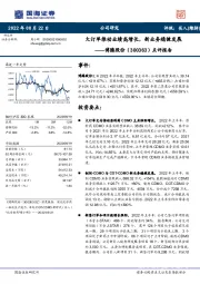 点评报告:大订单推动业绩高增长,新业务稳健发展