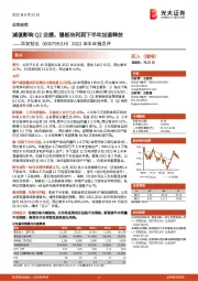 2022年半年报点评：减值影响Q2业绩，镍板块利润下半年加速释放