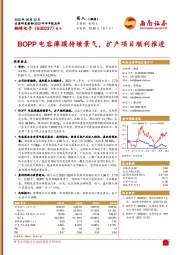 BOPP电容薄膜持续景气，扩产项目顺利推进