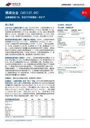 业绩增速超70%，拟发行可转债进一步扩产