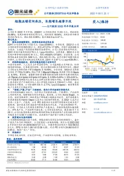 大叶股份2022年半年报点评：短期业绩有所承压，长期增长趋势不改