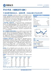 中高端装饰原纸龙头，拓展消费、加速出海打开成长空间