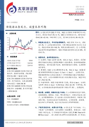 新能源业务发力,放量未来可期