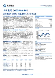 盈利稳健符合预期，新基建孵化平台初步成型