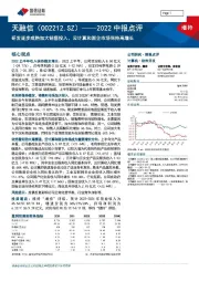 2022中报点评：研发逐步成熟加大销售投入，云计算和国企市场保持高增长