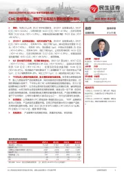 2022年半年度报告点评：CHC稳健增长，看好下半年配方颗粒恢复性增长