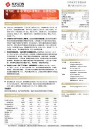 2022年半年报点评：博力威：轻动+储能高速增长，业绩拐点兑现