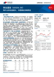 海外业务快速增长，车载模组持续推进