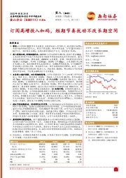 订阅高增投入加码，短期节奏扰动不改长期空间