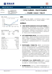 中报点评：下游客户拓展顺利，研发项目迅速推进