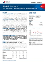 2022半年报点评：盈利水平小幅回升，积极开拓区域市场