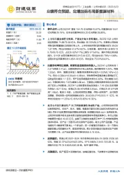 业绩符合预期，定增加码布局新能源材料