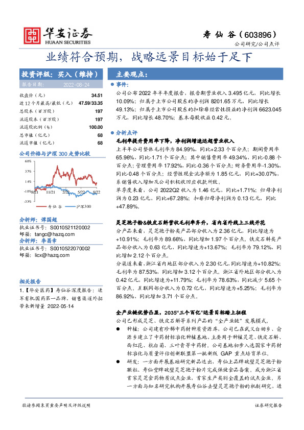 业绩符合预期，战略远景目标始于足下