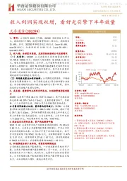 收入利润实现双增，看好光引擎下半年放量