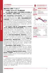 首次覆盖报告：掘金网安上游的“小巨人”