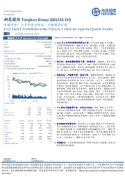 中报点评:上半年盈利承压,产能稳步扩张