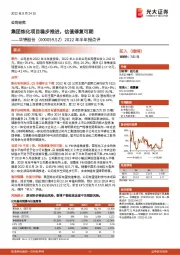 2022年半年报点评：集团炼化项目稳步推进，估值修复可期