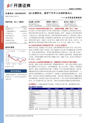 公司信息更新报告：Q2业绩承压，看好下半年工业硅价格向上